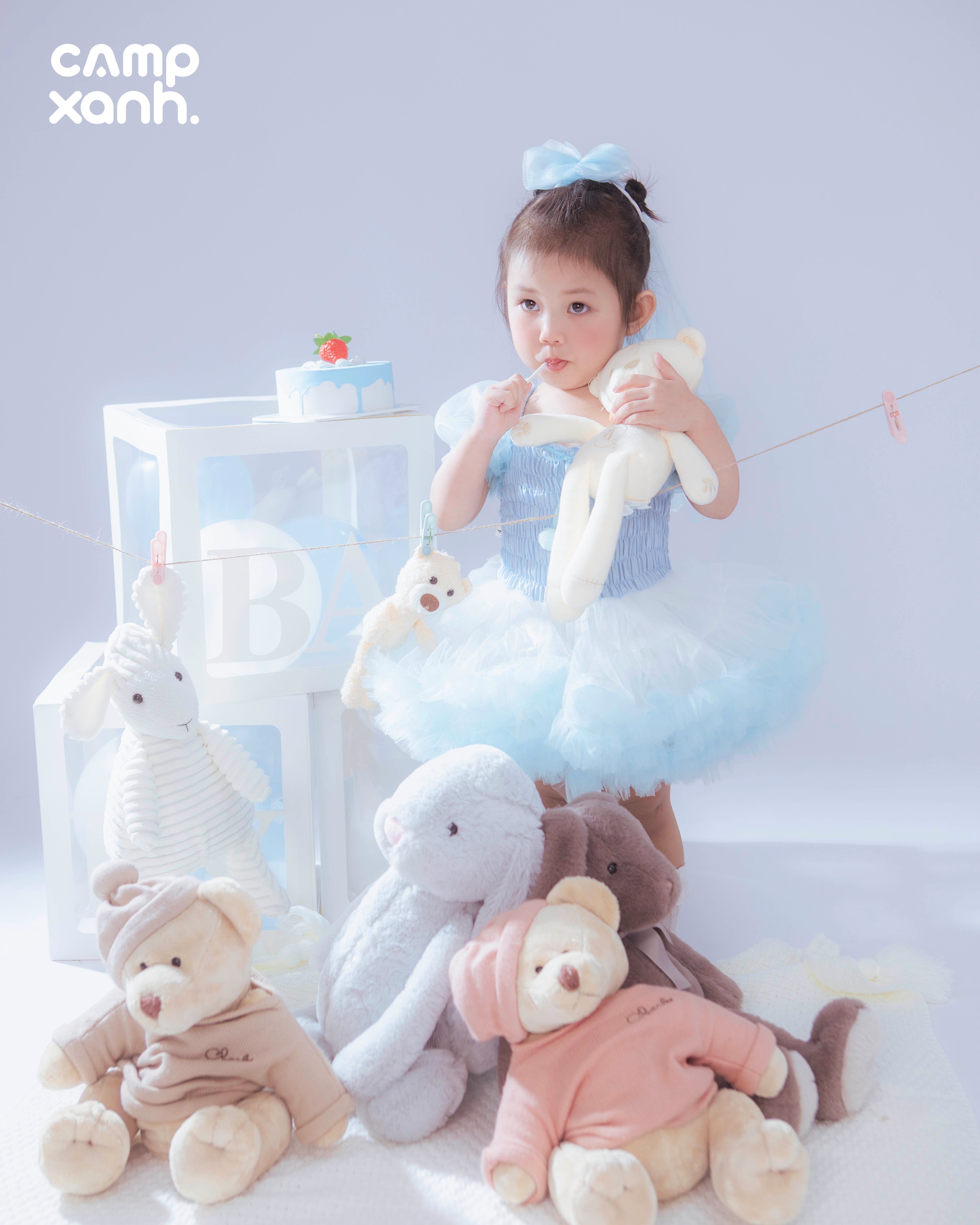 Sinh nhật gấu bông