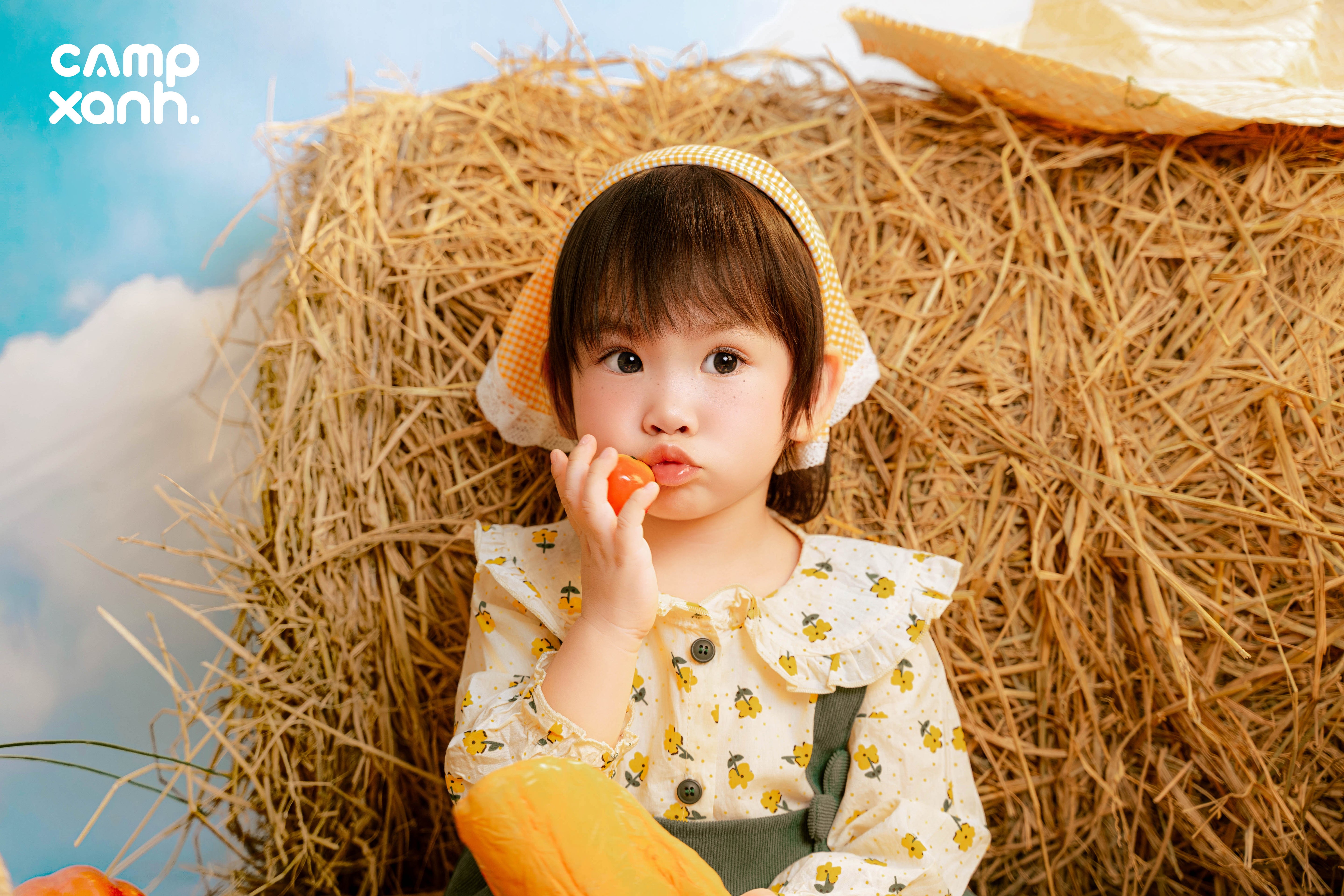 Nông Trại Vui Vẻ