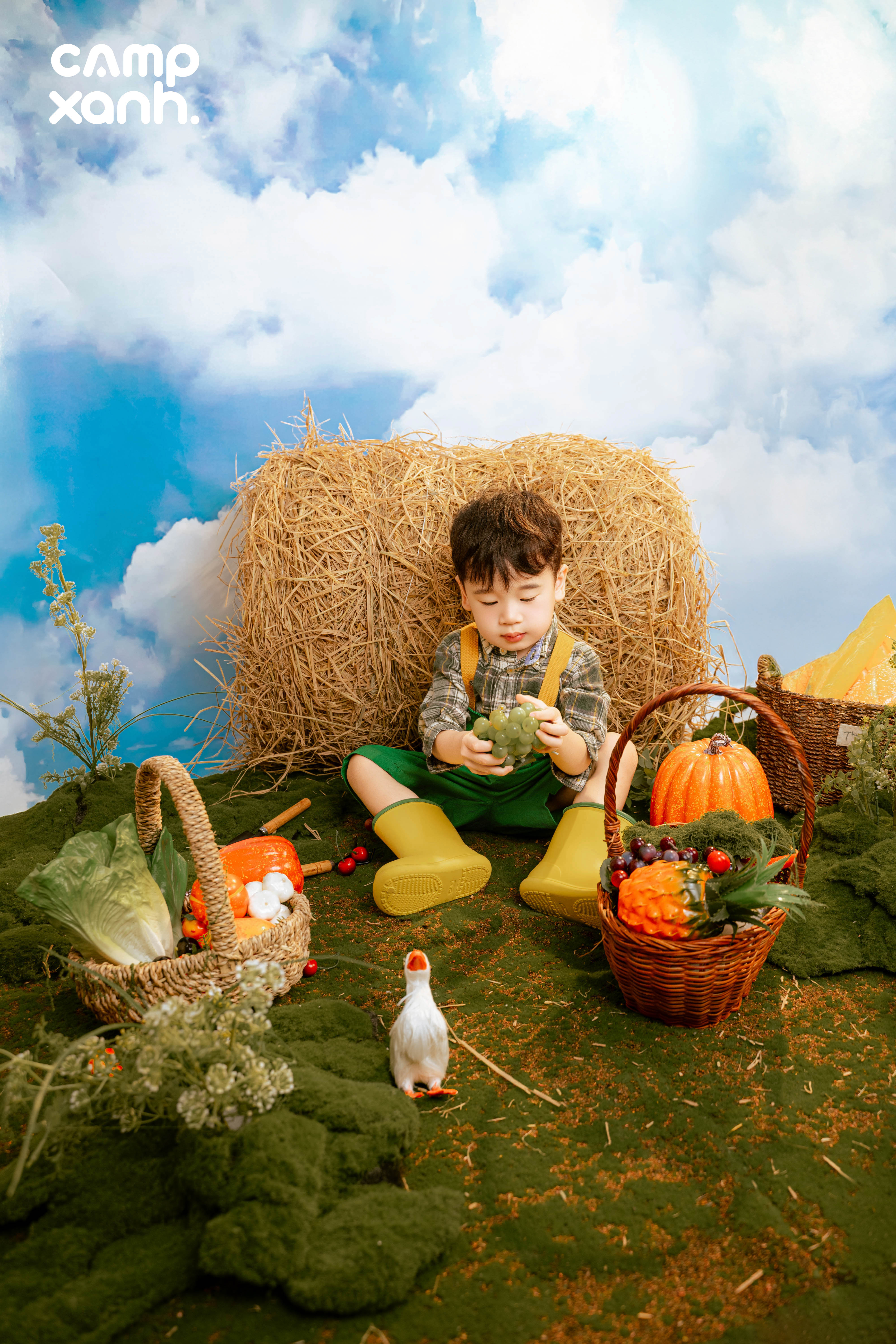 Nông Trại Vui Vẻ