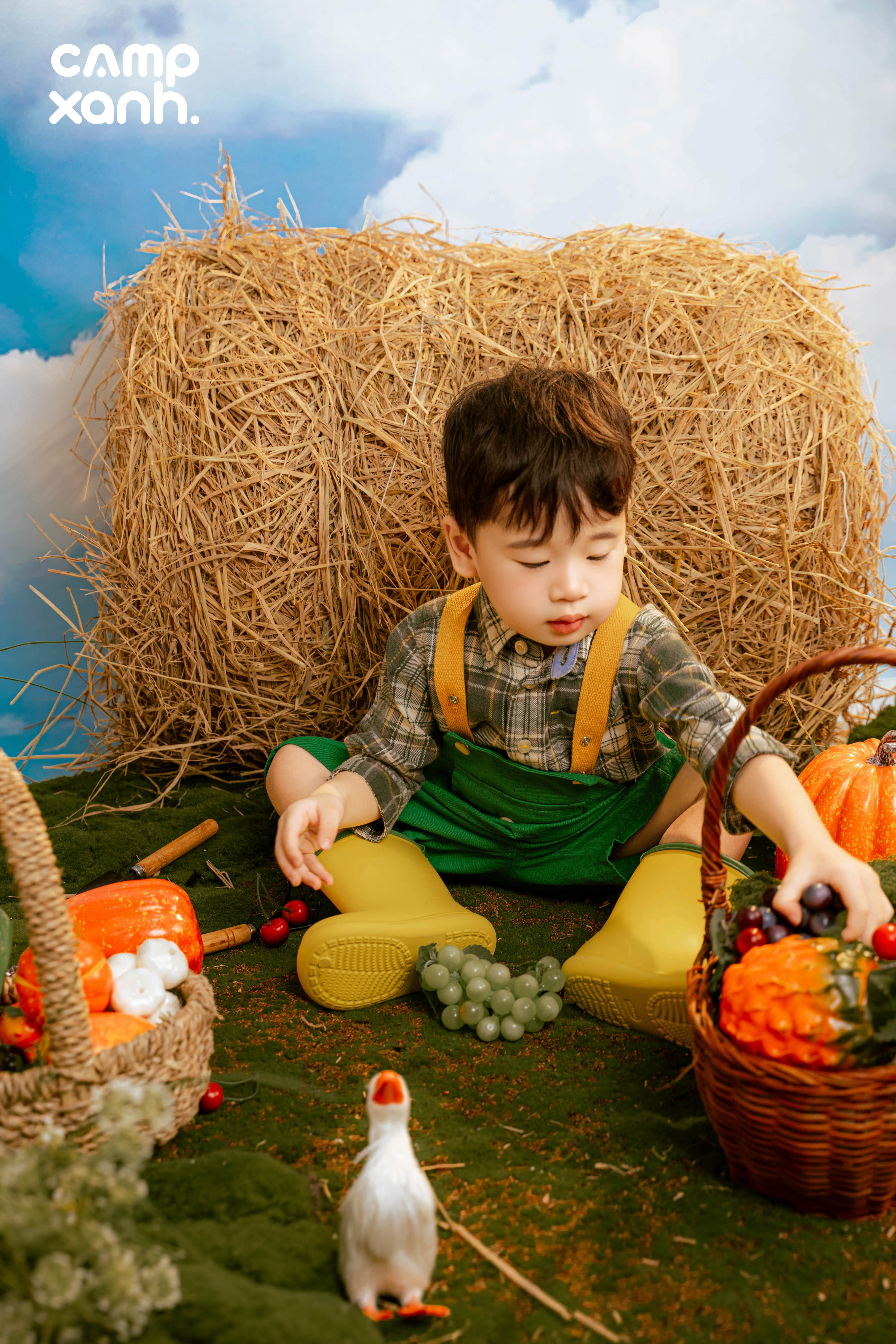 Nông Trại Vui Vẻ