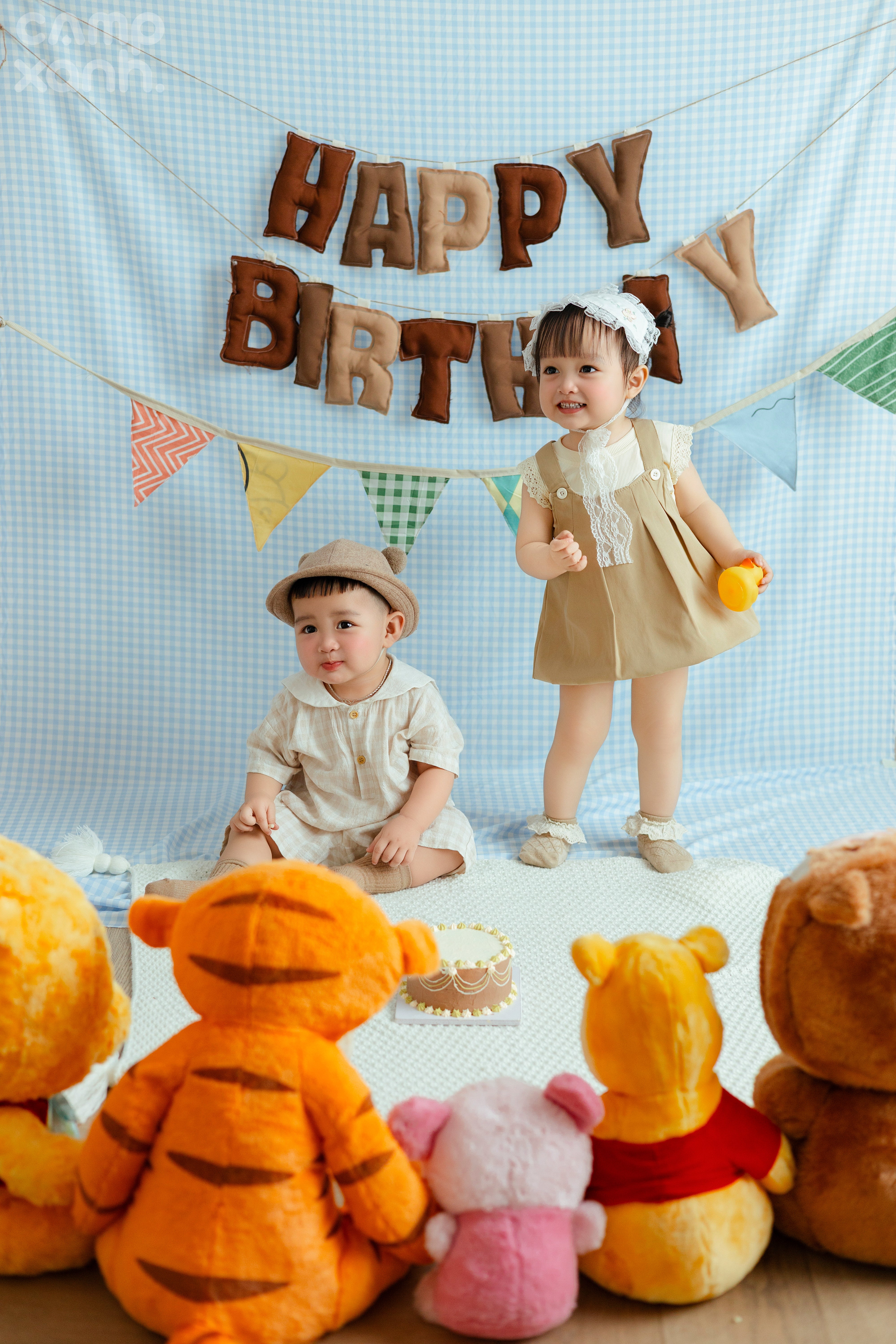 SINH NHẬT GẤU POOH