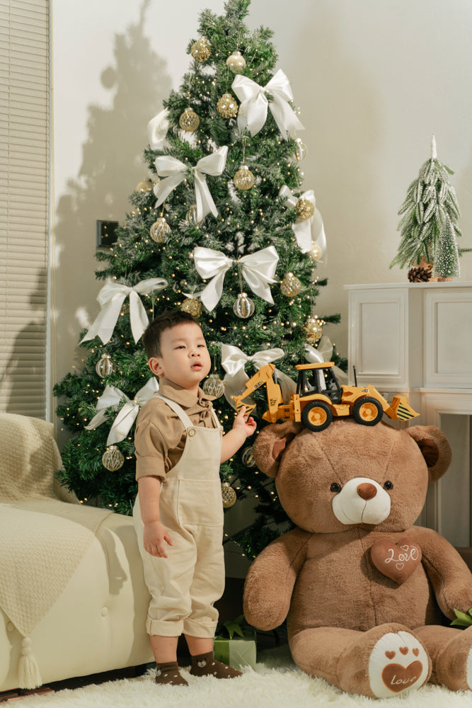 MERRY CHRISMAS - HOME