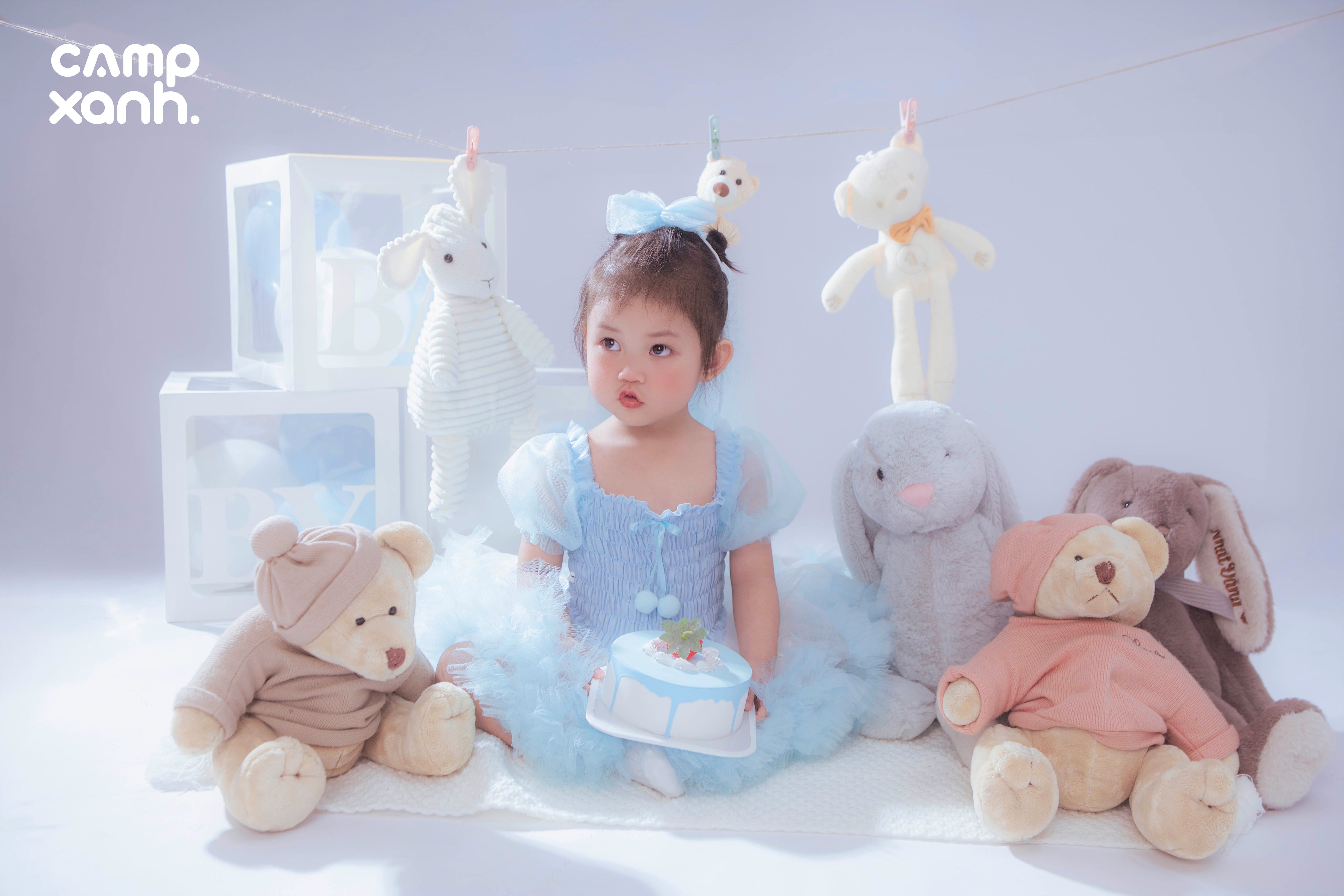 Sinh nhật gấu bông