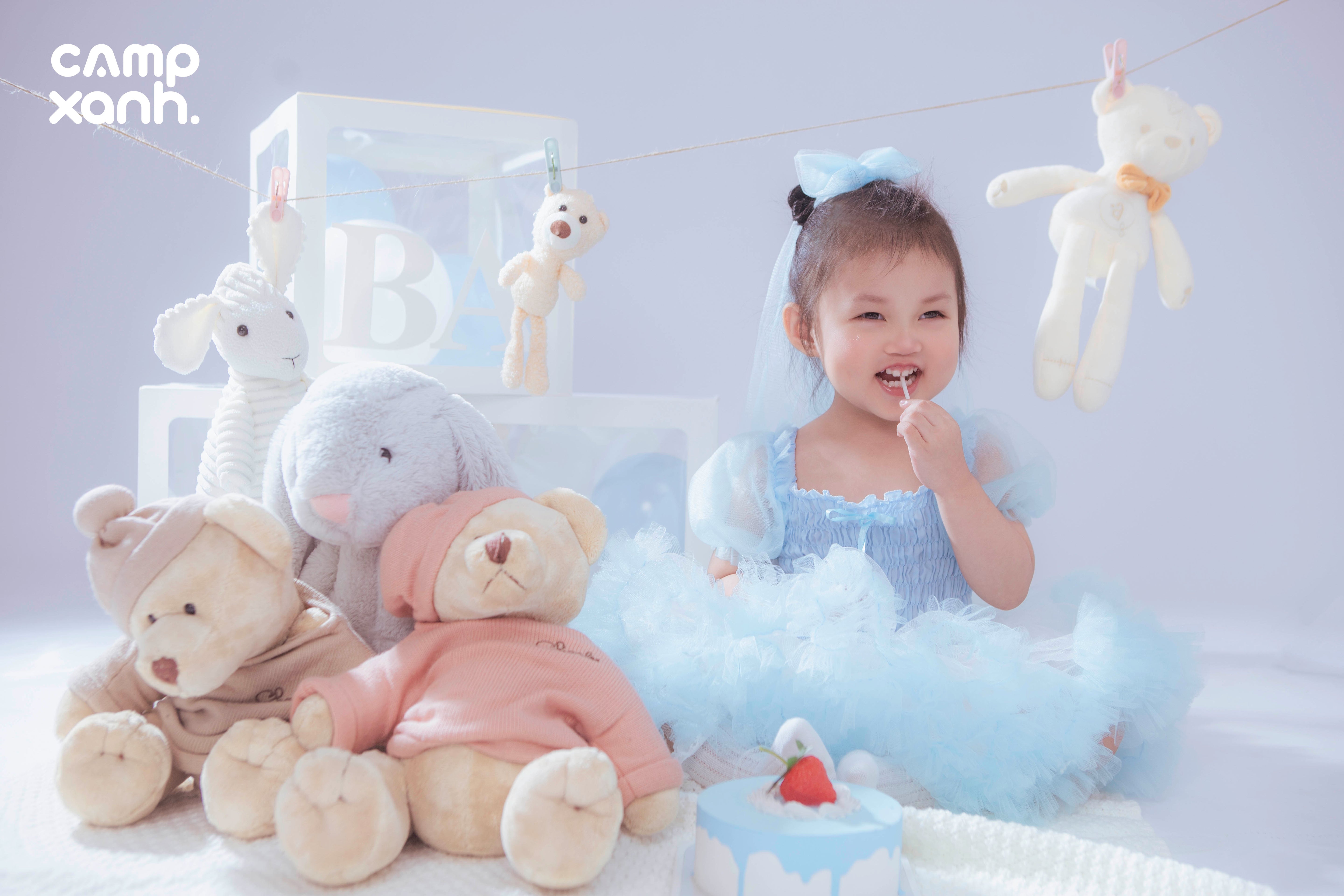 Sinh nhật gấu bông