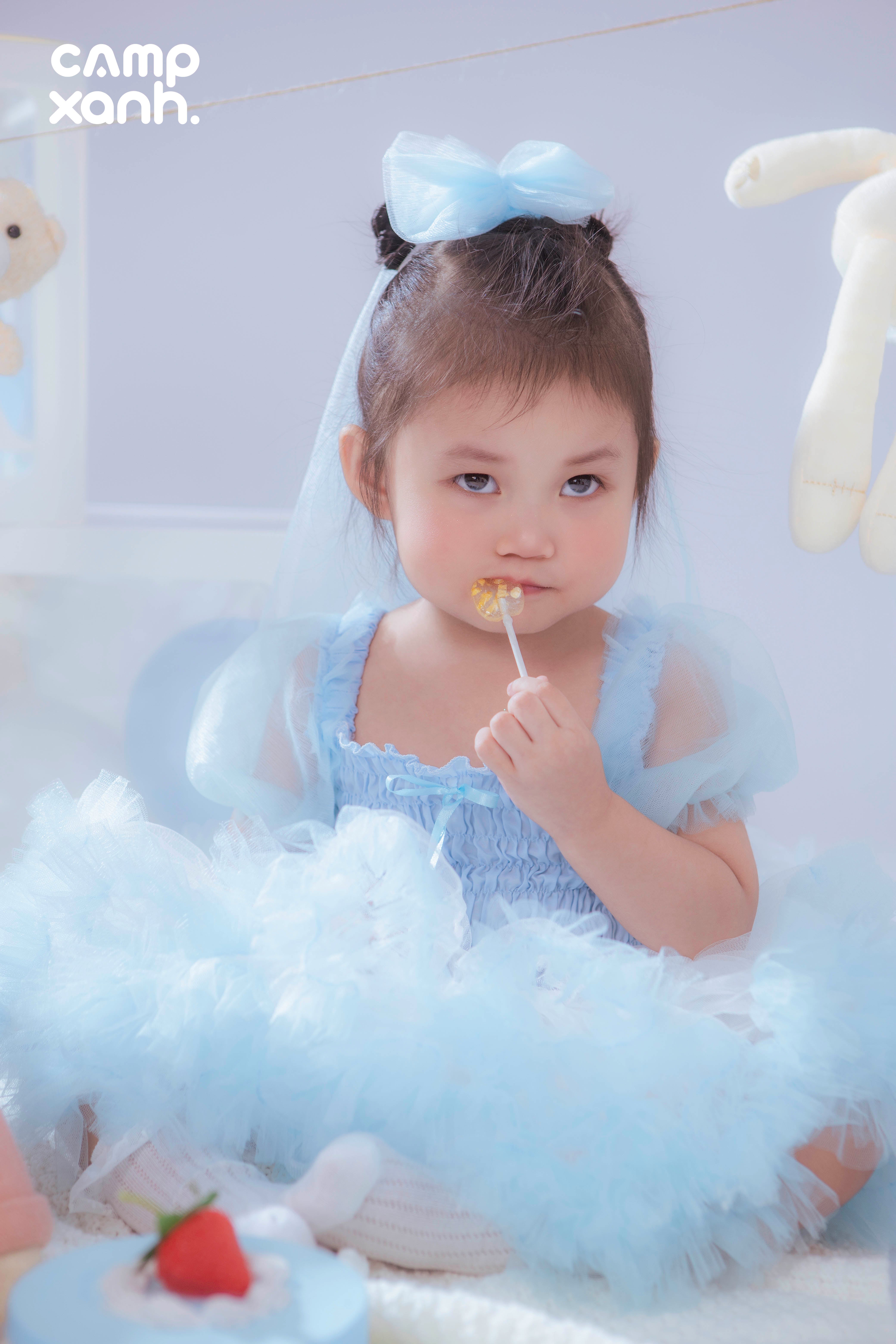 Sinh nhật gấu bông